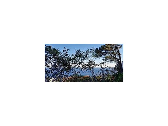 <!--[if BLOCK]><![endif]--> 8  Petrel Close, Camps Bay, Cape Town <!--[if ENDBLOCK]><![endif]-->